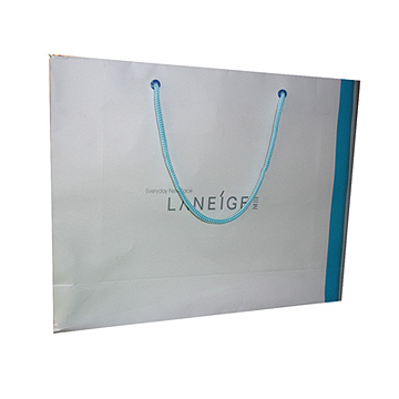  Paper Shopping Bag (Paper Shopping Bag)