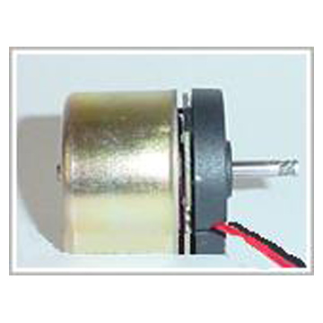 Brushless Motor (Brushless Motor)