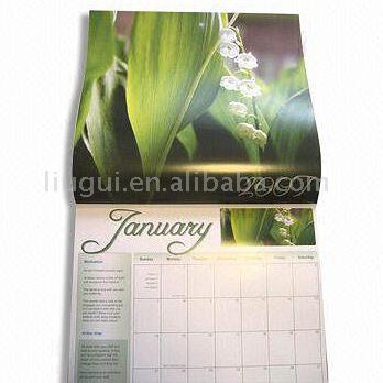  Wall Calendar (Wall Calendar)