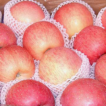  Fuji Apple (Fuji Apple)