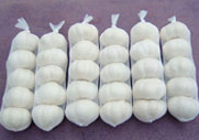  Garlic (Ail)