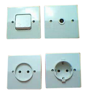  Socket and Wall Switch ( Socket and Wall Switch)