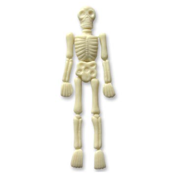  Body Bone Gummy Confectionery ( Body Bone Gummy Confectionery)