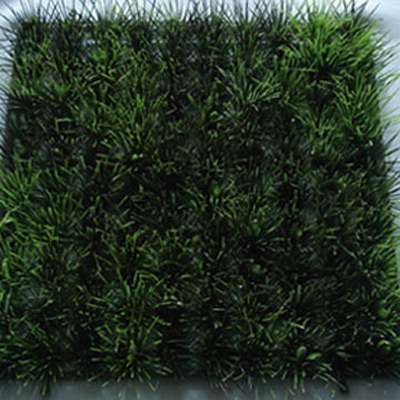 Grass Carpet (Grass Carpet)