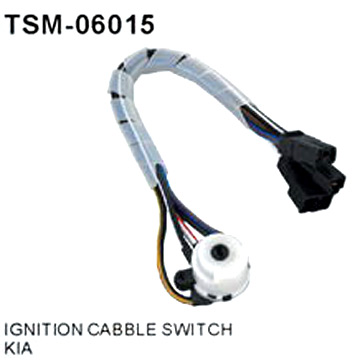  Ignition Cable Switch (Зажигание ереключение камеры)