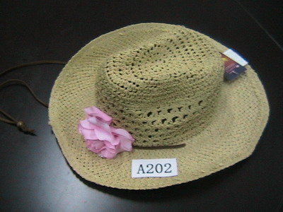  Paper Cowboy Hat for Ladies (Livre Chapeau de cowboy pour dames)