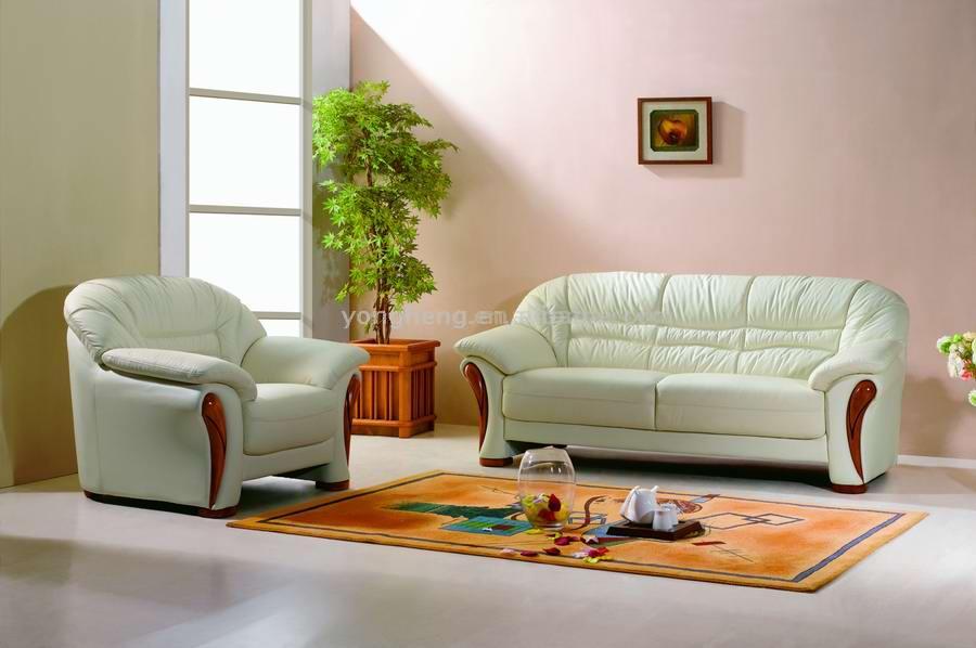  Leather Sofa (Leather Sofa)