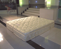  Mattress ( Mattress)