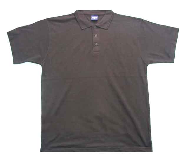 Men`s Polo Shirt (Men`s Polo Shirt)