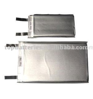  Li-Polymer Battery (Li-Polymer Battery)