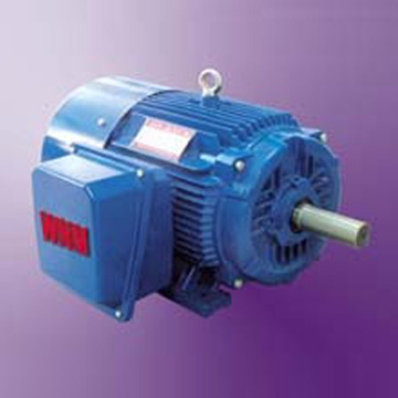  NEMA Design B Induction Motor ( NEMA Design B Induction Motor)