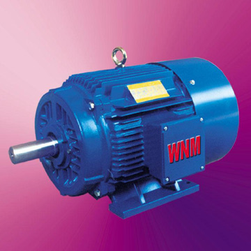  YFP Series Three-Phase Induction Motor (YFP серии Трехфазные асинхронные Мотор)