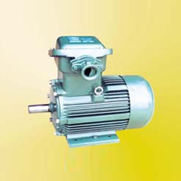  YFB Series Dust Explosion-Proof Induction Motor (YFB серии взрывов пыли-Proof Induction Motor)