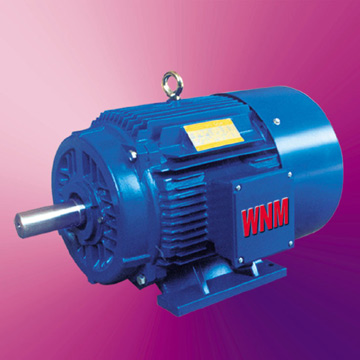  Y2-E Series Three-Phase Induction Motor (Y2-E Series Трехфазные асинхронные Мотор)