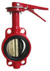  Wafter Type Butterfly Valve (Wafter типа Butterfly Valve)