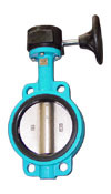  Worm Gear Actuated Butterfly Valve ( Worm Gear Actuated Butterfly Valve)