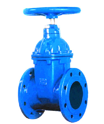  Resilient Seated Gate Valve (Resilient Assis Gate Valve)