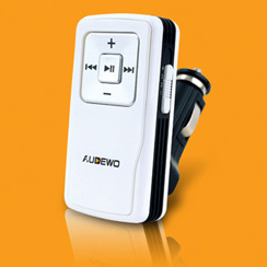 Car MP3 Player (Car MP3 Player)