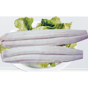  Frozen Marine Eel Fillet (Marins congelés Eel Filet)