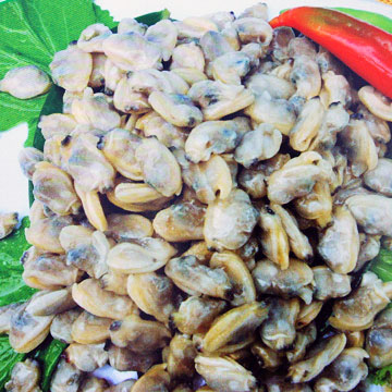  Frozen Boiled Short-Necked Clam Meat (Замороженные вареные короткой шеей Clam Meat)