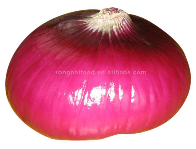 Fresh Red Onion (Fresh Red Onion)
