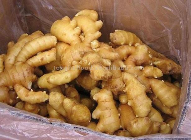  Fresh Ginger in Carton (Свежий имбирь в картонной)