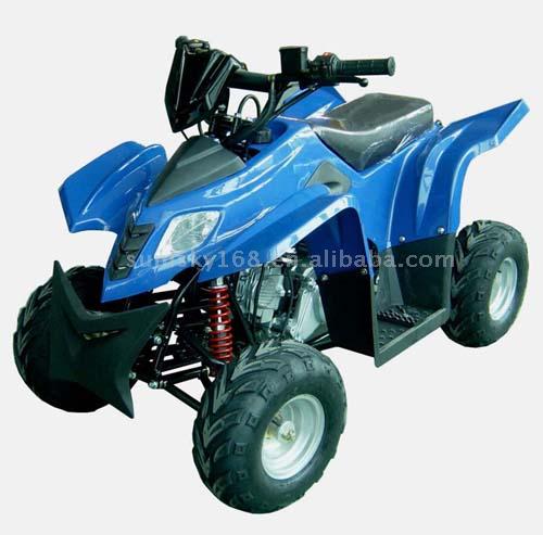 90cc/110cc ATV mit EPA (90cc/110cc ATV mit EPA)