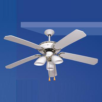  Decorative Ceiling Fan (Ventilateur de plafond décoratives)