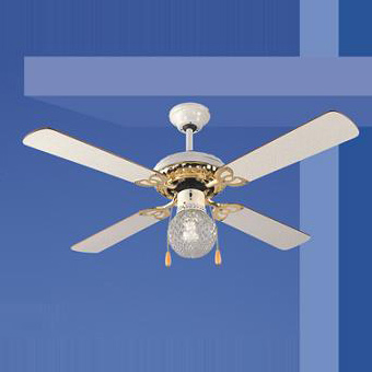  Decorative Ceiling Fans (Ventilateurs de plafond décoratives)