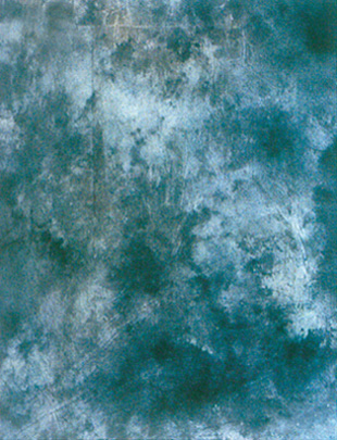  Dyed Muslin Background (Dyed Muslin Background)