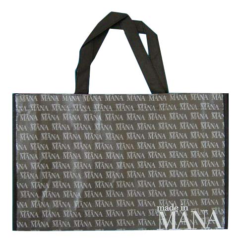  Non-Woven Bag (Non-Woven Bag)