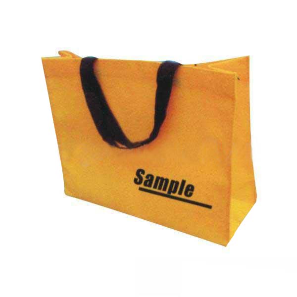  Non-Woven Bag (Non-Woven Bag)