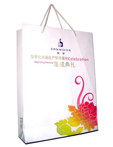  Paper Gift Bag ( Paper Gift Bag)