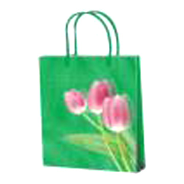  Shopping Bag ( Shopping Bag)