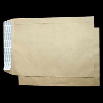 Außergewöhnliche Envelope (Außergewöhnliche Envelope)