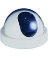  DT-P7132 Dome Camera ( DT-P7132 Dome Camera)