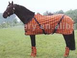  Horse Blanket (Horse Blanket)