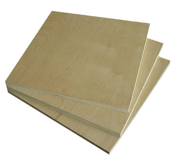 Birch Plywood (Birch Plywood)