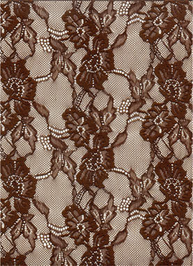  Lace Fabric (Dentelle Tissu)