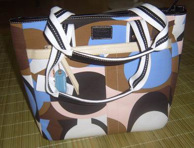  Branded Designer Fashion Handbag in Grade One Leather Materials (Branded Fashion Designer Handbag en première année cuirs)