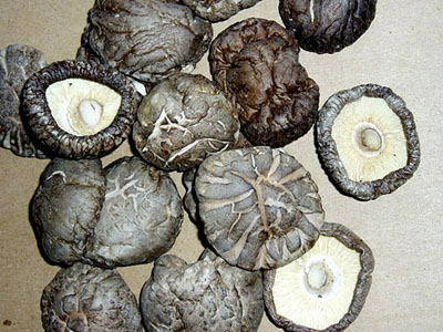  Dried Shiitake Mushrooms (Champignons shiitake séchés)