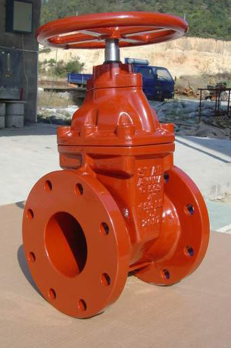  Resilient Gate Valve (Double Flanged) (Resilient Gate Valve (vanne  brides))