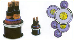  Low Voltage XLPE Insulated Power Cable (Basse tension XLPE Insulated Power Cable)