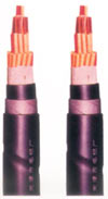  Corrosion Resistant Shielded Control Cable (Résistant à la corrosion Shielded Control Cable)