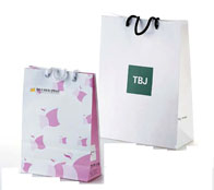  Shopping Bag ( Shopping Bag)