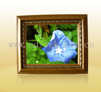  10.4" Digital Photo Frame ( 10.4" Digital Photo Frame)