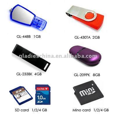  USB / SD Storage Device (USB / SD Storage Device)