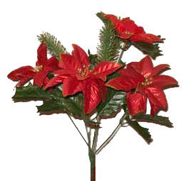  Christmas Flower (Рождественский цветок)