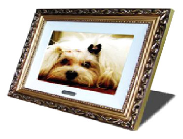  10.4" LCD Digital Photo Frame ( 10.4" LCD Digital Photo Frame)