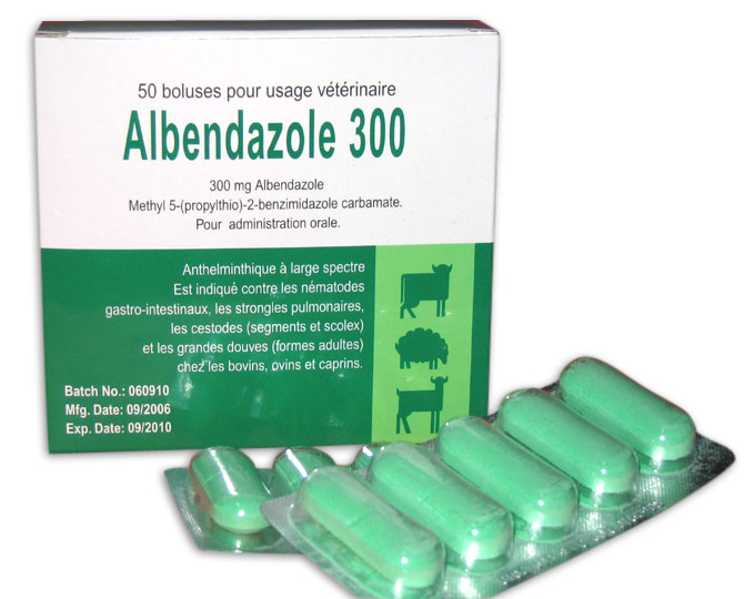  Albendazole Tablet (300mg) ( Albendazole Tablet (300mg))